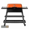 Everdure FURNACE™ Gasgrill Orange Mit Doppelboden -KAMDI24 Verkäufe everdure furnace gasgrill orange mit doppelboden