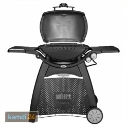 Weber Q 3200 Gasgrill Mit Rollwagen Inkl. Hitzeschild Und Bratenrost -KAMDI24 Verkäufe weber q 3200 gasgrill mit rollwagen inkl hitzeschild und bratenrost 25555 m 2