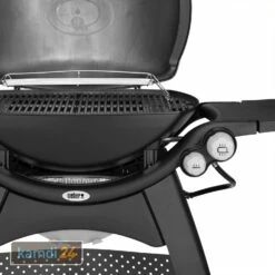 Weber Q 3200 Gasgrill Mit Rollwagen Inkl. Hitzeschild Und Bratenrost -KAMDI24 Verkäufe weber q 3200 gasgrill mit rollwagen inkl hitzeschild und bratenrost 25555 m 5